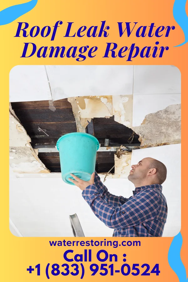 Roof Leak Water Damage Repair in Celina, TN