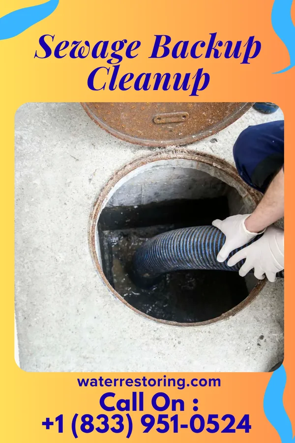 Sewage Backup Cleanup in Celina, TN