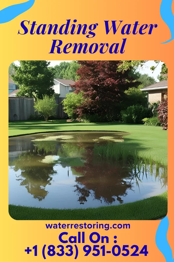 Standing Water Removal in Celina, TN